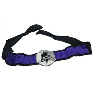 Ninja Kidz! TV Super Hero Belt Only Purple Black Dress Up Costume Toy Fun Tie